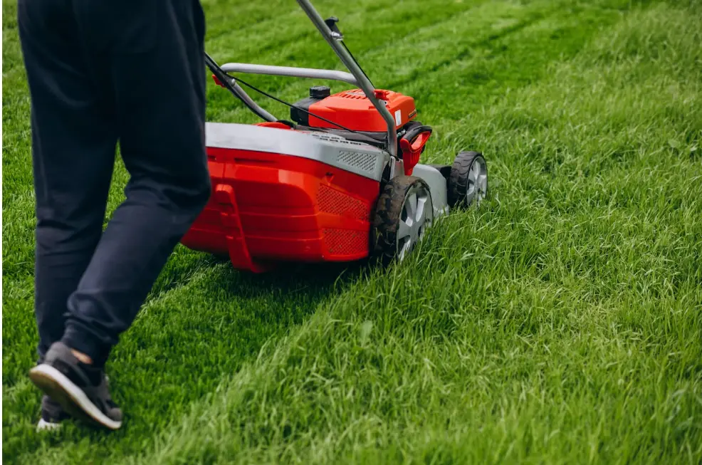 Grass mowing